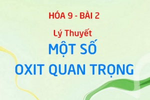 Canxi Oxit CaO, Lưu huỳnh Dioxit SO2 tính chất hóa học và Ứng dụng - Hóa 9 bài 2